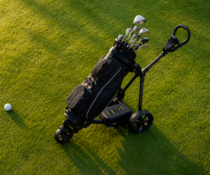 Chariots de golf électriques