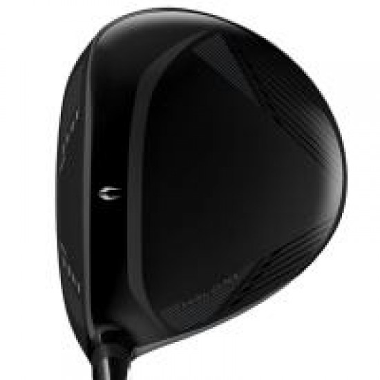 Cleveland - Bois Halo XL