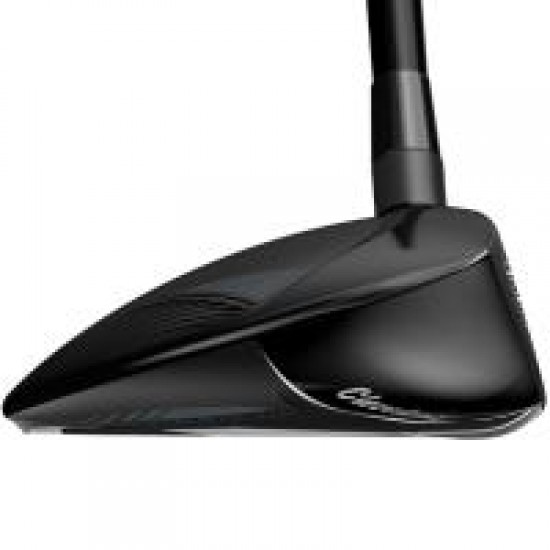 Cleveland - Bois Halo XL