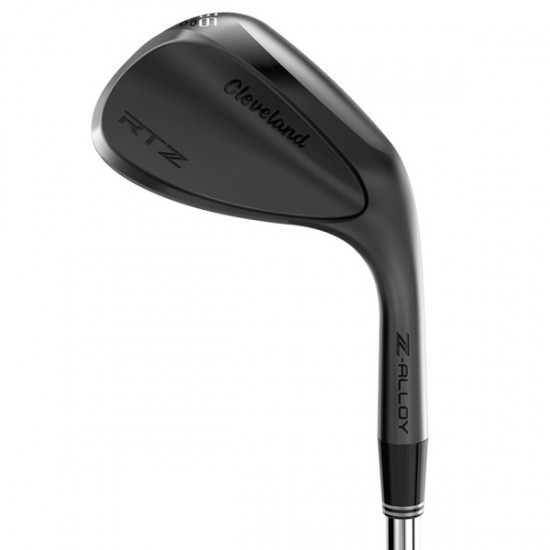 CLEVELAND - RTZ Black Satin Wedge
