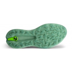 ECCO - golf biom h5 BOA
