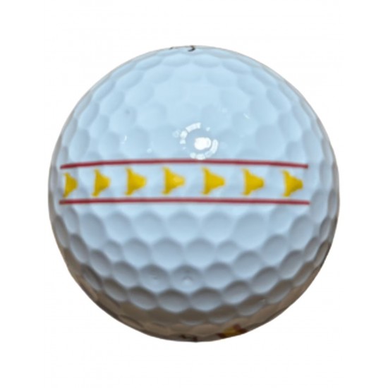 TITLEIST - PRO V1 2025 12 balles