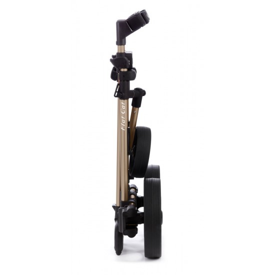 acheter Flat Cat - Push Manuel 3 Roues