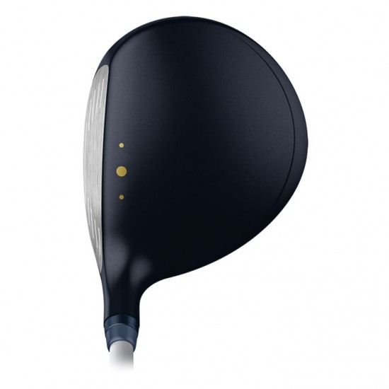 PING - GLE3 Bois de parcours PING - GLE3 Bois de parcours